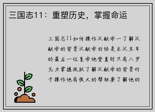 三国志11：重塑历史，掌握命运